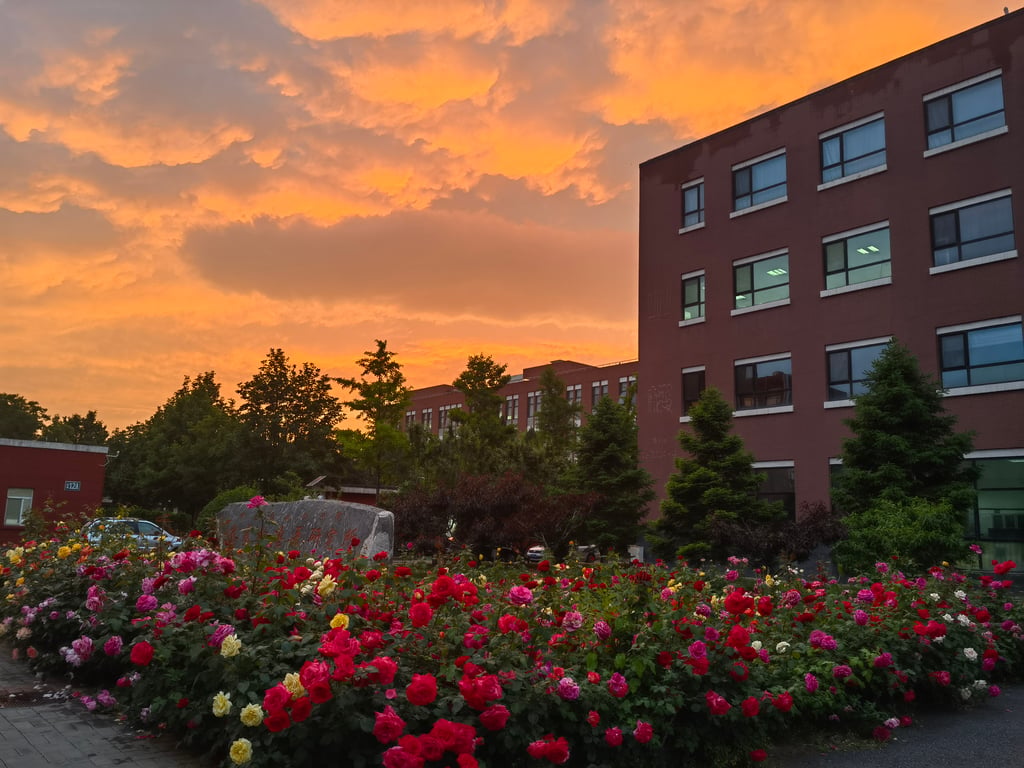 Campus at sunset